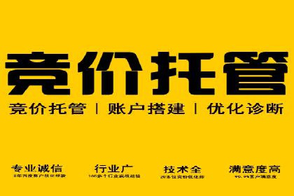 竞价托管服务在sem推广中的应用与效果展示